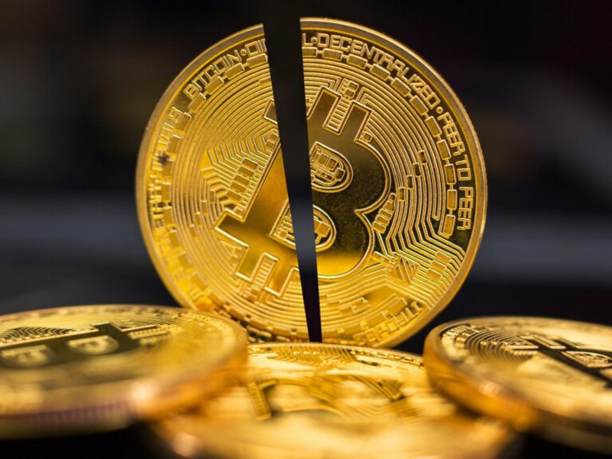 Bitcoin Halving 101: Everything Investors Need To Know