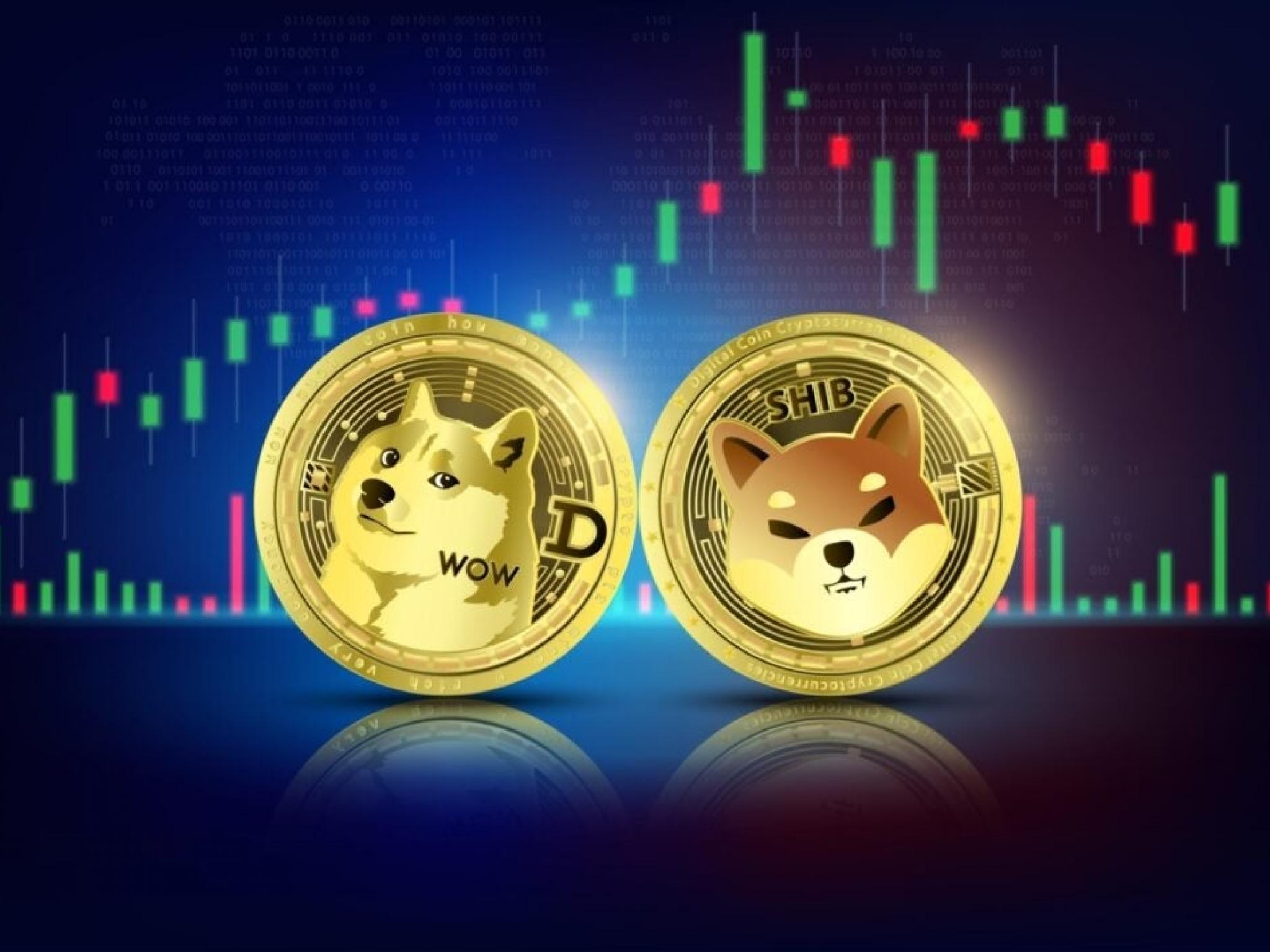 Trader Who Turned $15K Into $5M Predicts These 4 Meme Coins To Emulate The Success Of DOGE, SHIB, FLOKI