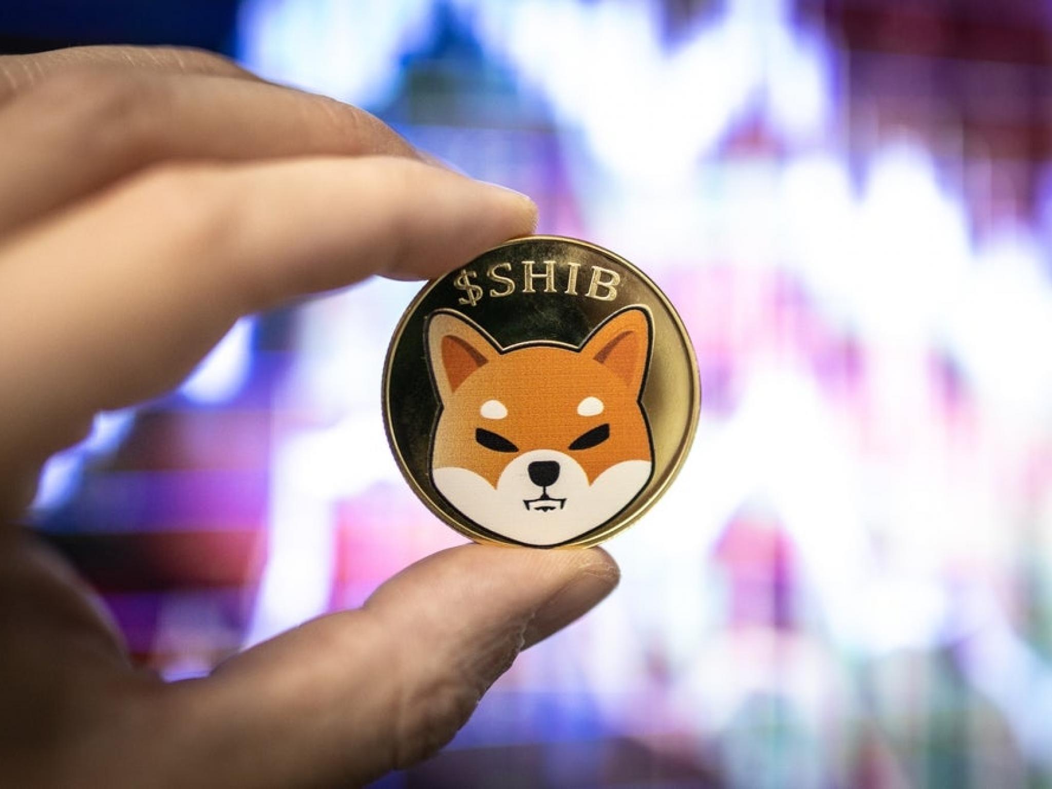 ‘Dogecoin Killer’ Shiba Inu Pushes Mainstream Adoption And Is On The Verge Of ‘4X Breakout’, Says Trader