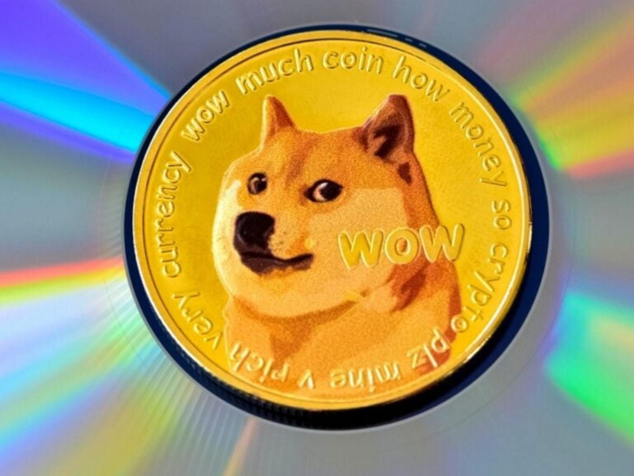 Dogecoin Turns Green As Trump Appoints Loyalist Katie Miller To The Department Of Government Efficiency