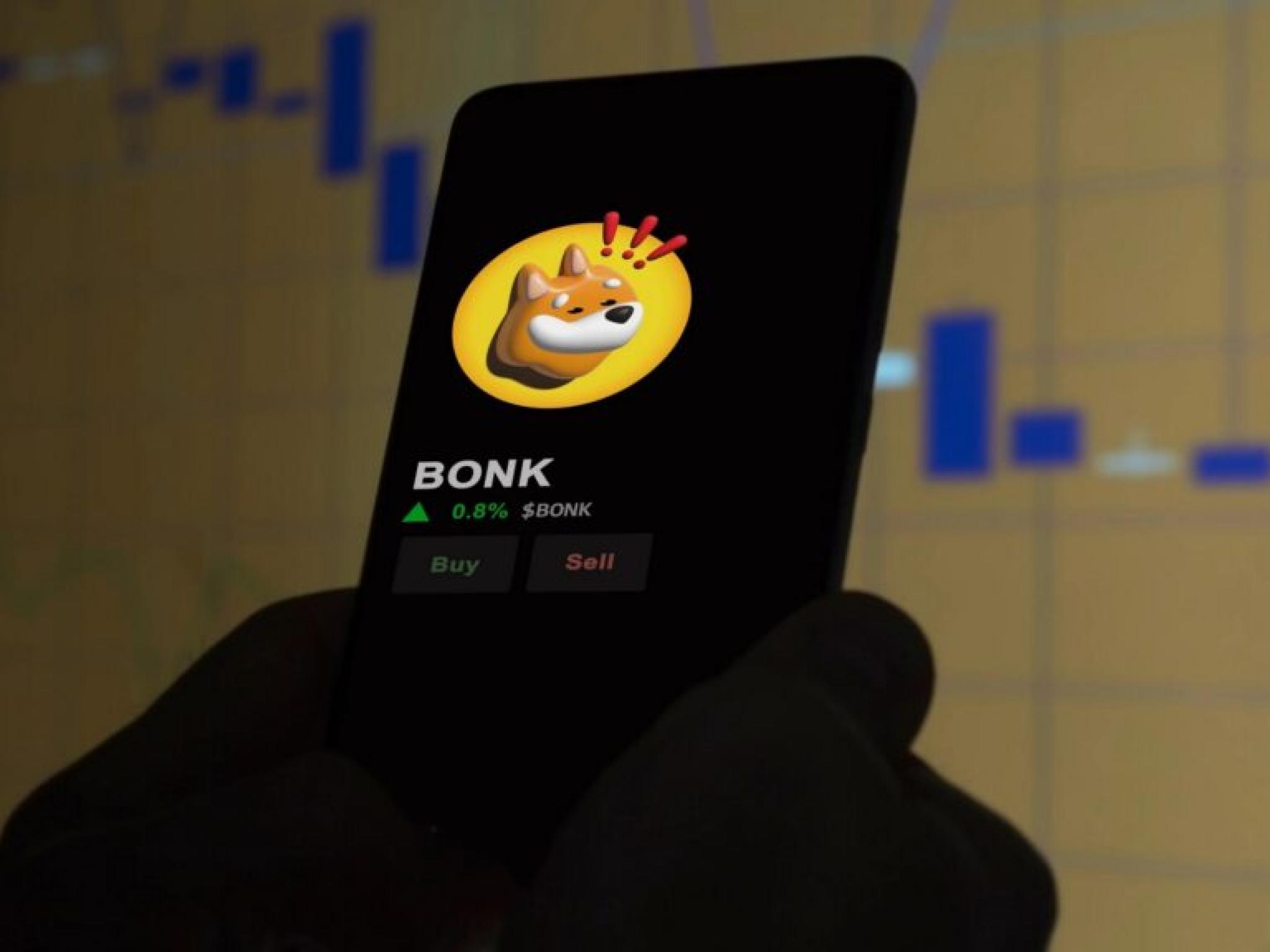 Bonk Drops 30% Despite Massive Token Burn: What Is Going On?